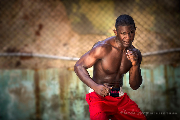 The Boxer