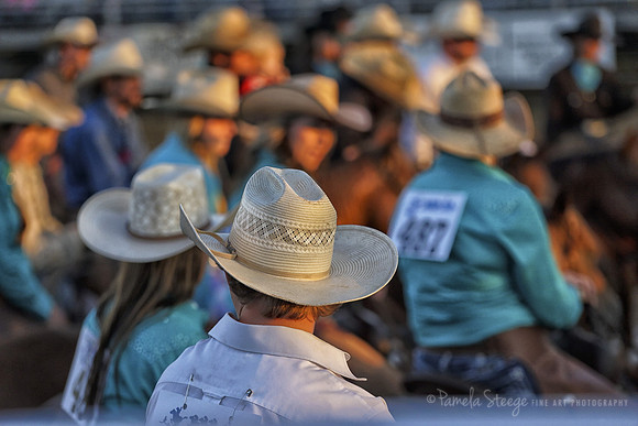 the Contestants