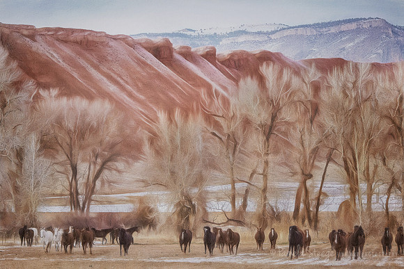Red Rocks and Horses