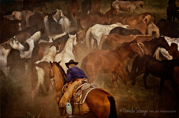 Hold,n Herd