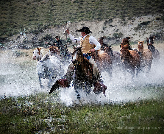 Water Wranglers