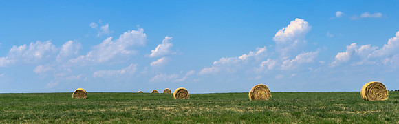 Summer Bales