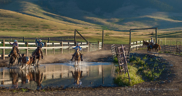 Running the Fences