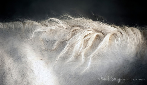 White Marble