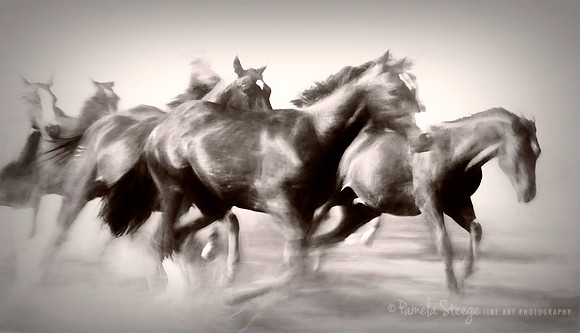 Run Free