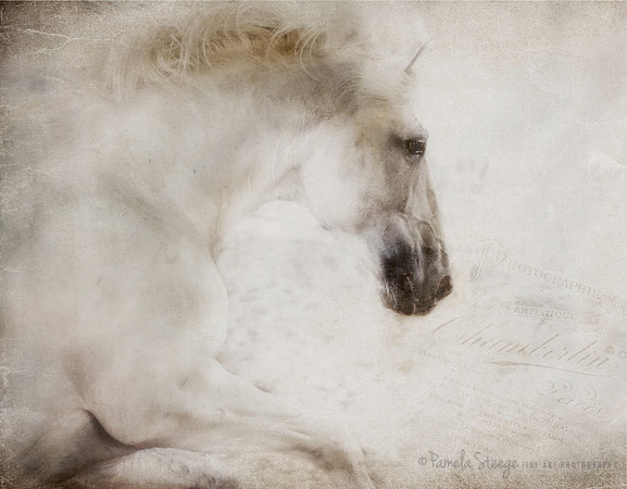 Dreams