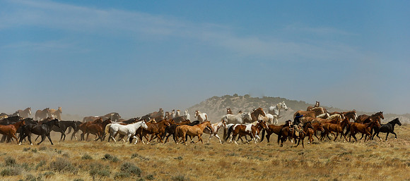 Horse Drive