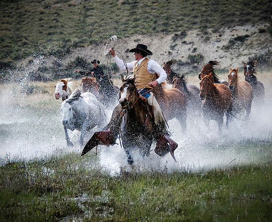 Water Wranglers