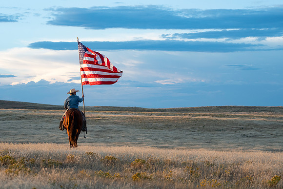 Land of the Free
