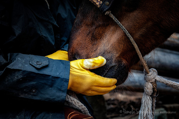 A Gentle Hand