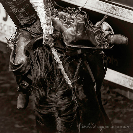 It's the Rope and the Reins