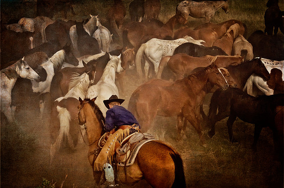 Hold,n Herd