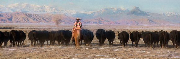 Driving the Herd