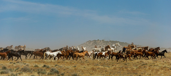 Horse Drive