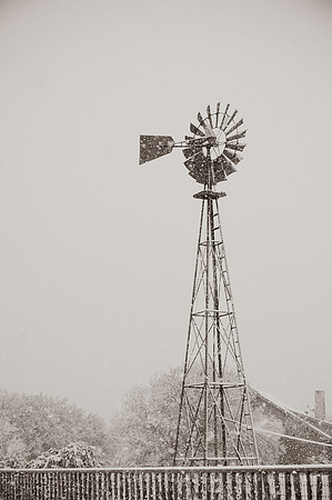 Texas Ranching