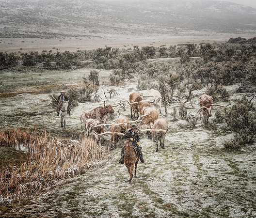 Follow the Leader