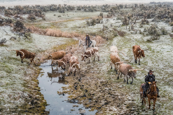 Crossing Over