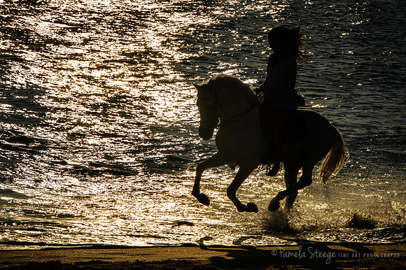 Sunset Silouette