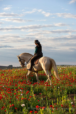 Poppy