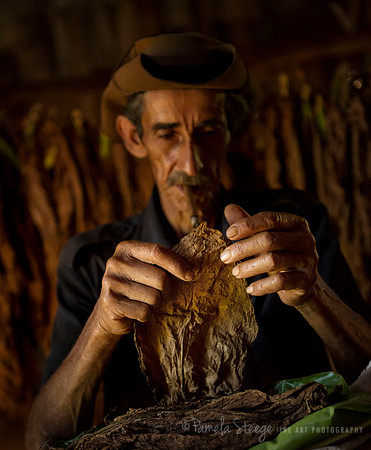 Working Hands